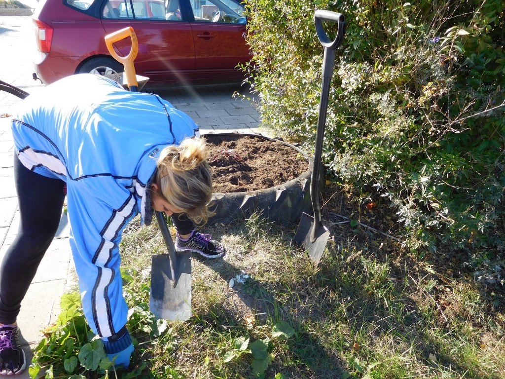 urzadzanie i pielegnacja ogrodow (33)